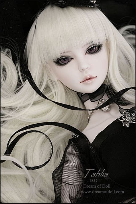 tahlia on dream of dolls ball jointed dolls gothic dolls ball jointed dolls porcelain doll
