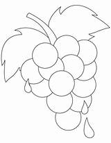 Grapes Coloring Pages Grape Vine Kids Printable Ripe Color Fresh Colouring Template Vineyard Sheets Bestcoloringpages Leaf Getcolorings Fruit Books Outline sketch template
