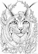 Lynx Luchs Head Favoreads Ausmalen Mandalas Colorier Karlzon Hanna Coloringbay Adulte Erwachsene sketch template