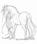 Horse Coloring Horses Pages sketch template