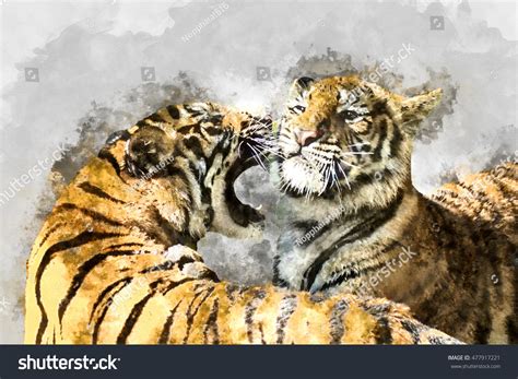 watercolor image  royal bengal tiger stock illustration