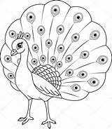 Peacock Coloring Pavo Colorear Real Drawing Pages Line Drawings Kids Istock Cartoon Cute Animal Clipart Stock Depositphotos Bird Children Simple sketch template