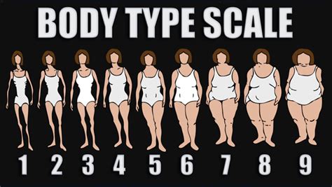 find your healthy body type the dr oz show