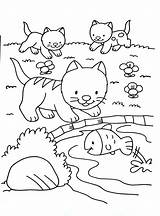 Coloring Cat Kids Cats Pages Print Kittens Cute Animals Playing Simple Color Fish Adult Justcolor Printable Mandala Rainbow Animal Nggallery sketch template