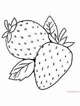 Know Fruits Coloriages sketch template