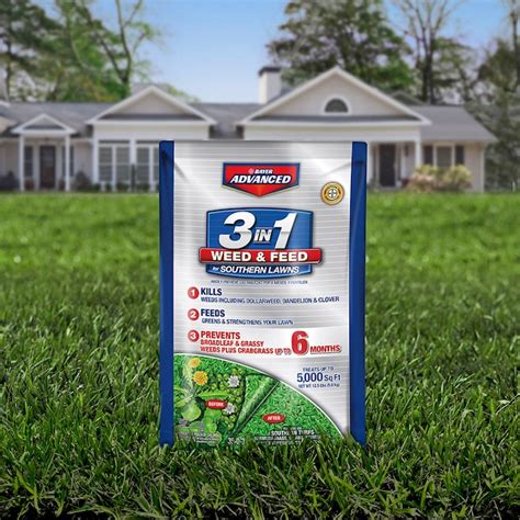 Bioadvanced 3 In 1 For Southern Lawns 12 5 Lb 5000 Sq Ft 35 0 3 Weed