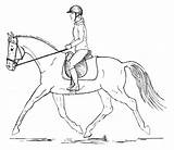 Horse Rider Sketch Drawing Riding Riders Saddle Posture Getdrawings Sketches sketch template