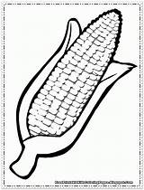 Corn Coloring Pages Cob Printable Cartoon Kids Thanksgiving Clipart Drawing Color Vegetable Cliparts Harvest Preschool Clip Fall Pre Printables Library sketch template