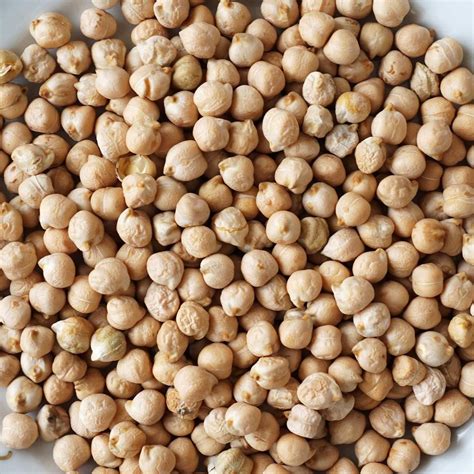 chana health benefits nutrition  side effects healthy day