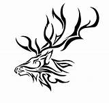 Elk Coloring Pages Clipart Tribal Tattoo Outline Head Clipartbest Imagixs Deer Skull sketch template