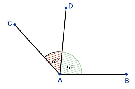 adjacent angles meaning examples  lesson education