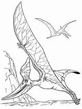 Coloring Pterosaur Pages Pterodactyl Awesome Real Children Perfect sketch template