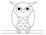 Sketsa Burung Hantu Mewarnai Narmadi Belajar Kolase Kartun Anak Contoh sketch template