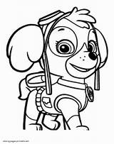 Getdrawings Patrolne Pups Everest Sape 2470 Canina Patrulla Coloringhome sketch template