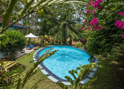 small paddy view villa  pool  galle lanka real estate