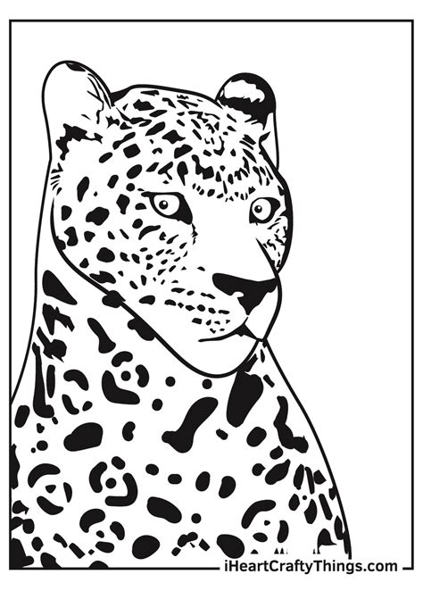 jaguar coloring pages updated