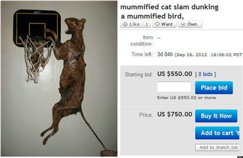 the 9 weirdest ebay purchases of all time huffpost