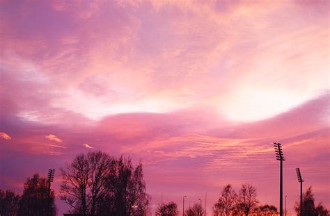 light pink sky  viljakettu  deviantart