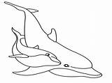 Coloring Pages Dolphin Dolphins Mermaids Printable Kids sketch template