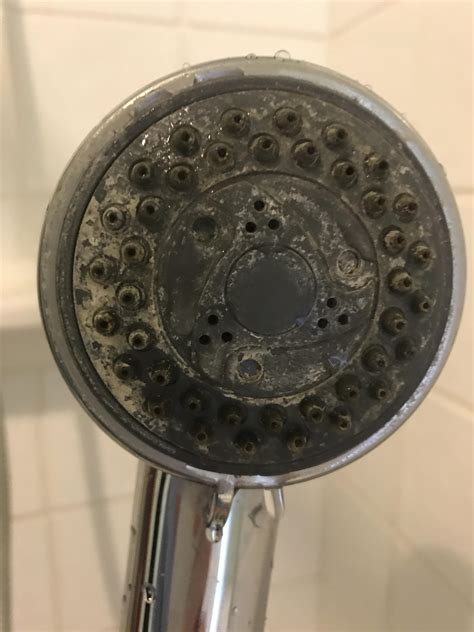 Shower Head Before And After In Comments Cleaning Porn