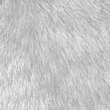Fur Texture Dimensions Resolution High Wallpaper sketch template