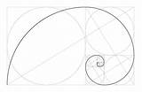 Golden Fibonacci Abgehobenen Schnitts Konzept Geometrisches Corel Goldenen Betrag Spirale sketch template