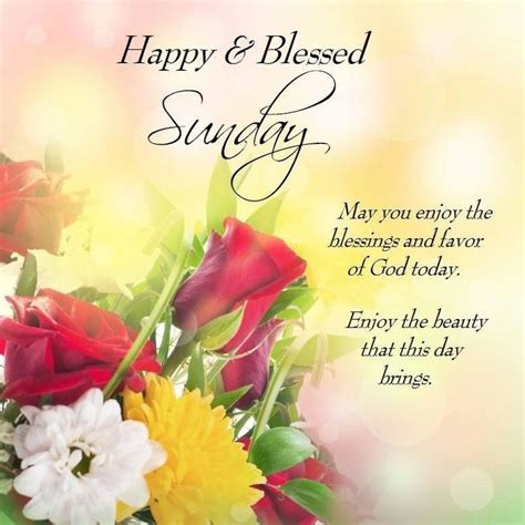 happy  blessed sunday pictures   images  facebook tumblr pinterest  twitter