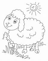 Sheep Coloring Baa Pages sketch template