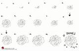 Rose Drawing Draw Roses Flower Tutorial Easy Steps Step Drawings Simple Tutorials Choose Board sketch template