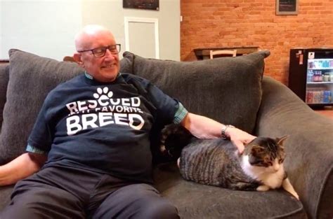 75 year old grandpa volunteers and naps with cats at shelter every day