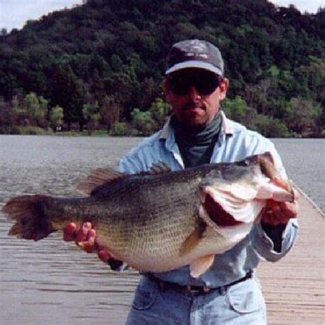 The Biggest Bass Ever Caught What Is The World Record Premier Angler