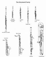 Instruments Instrument Music Woodwinds Woodwind Family Flute Orchestra Color Cut Wind Families Clarinet Write Each Brass Typical Musik Education Musical sketch template