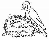 Oiseaux Oiseau Colorier Coloriages Pajaros Tableau Adorable Paginas Animales Choisir sketch template