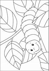 Caterpillar Raupe Nimmersatt Kindergarten Schmetterling Kinder Printable Rups Kids Malvorlage Ausmalbilder Frühling Ausmalen Kigaportal Malvorlagen Rupsje Nooitgenoeg Projekt Käfer Buch sketch template