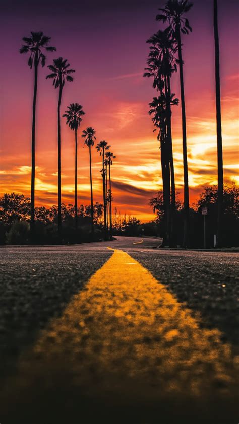 stock images los angeles california road palms sunset  stock