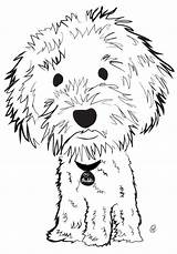 Labradoodle Dog Australian Drawing Adorable Doodle Drawings Cartoon Animal Painting Illustration Dollars Pups Charity Awareness Raises Non Different Related Goldendoodles sketch template