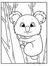 Koalas Koala Iheartcraftythings sketch template