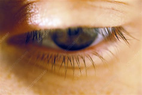 woman s eye stock image p420 0492 science photo library