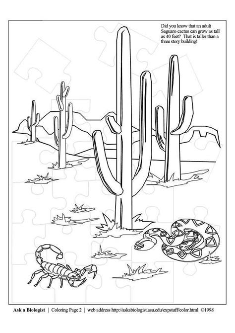 coloring page desert  printable coloring pages img