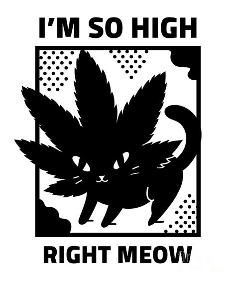 I M So High Right Meow Psychedelic Cat 420 Funny Weed Lover T