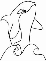 Orca Coloring Pages Whale Paper sketch template
