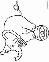 Elephant Circus Coloring Pages Clipart Clipartbest sketch template