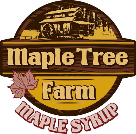 maple syrup maple tree farmmaple tree farm