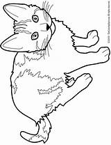 Siamese Getdrawings Getcolorings Kifesto Cica Visit Colorings sketch template