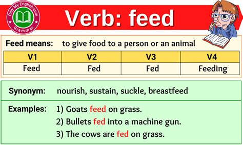 feed verb forms  tense  participle vvv onlymyenglishcom