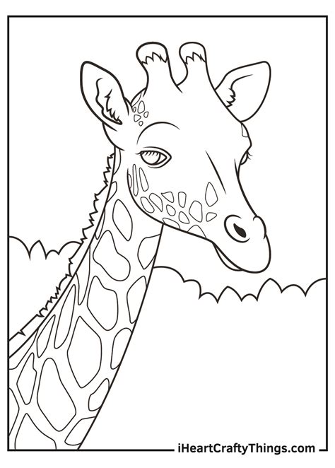 printable realistic animal coloring pages