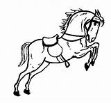 Cavalo Caballo Saltando Sela Silla Cavallo Cheval Salta Saute Saltar Caballos Cavall Sedia Saltant Amb Cadira Saltan Stampare Colorier Dibuix sketch template
