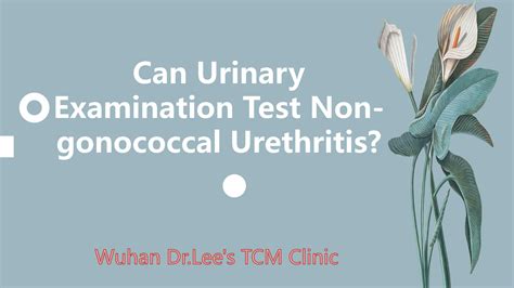 Can Urinary Examination Test Non Gonococcal Urethritis By Fragrant Issuu
