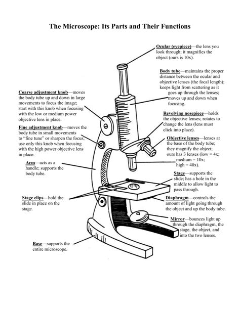 microscope  parts   functions