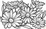 Coloring Daisies Daisy Pages Printable Flowers Flower Pattern Adult Drawing Patterns Supercoloring Choose Board Mandala Floral Nature Categories sketch template